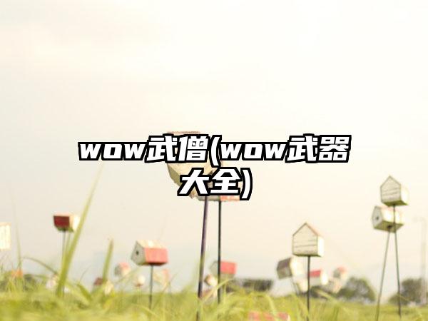 wow武僧(wow武器大全)
