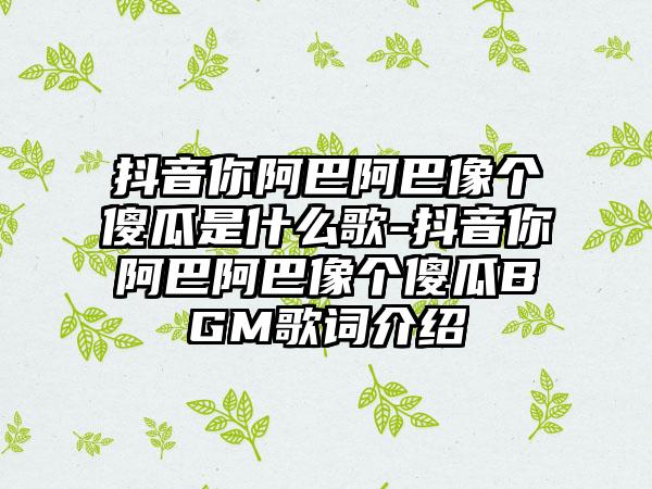 抖音你阿巴阿巴像个傻瓜是什么歌-抖音你阿巴阿巴像个傻瓜BGM歌词介绍