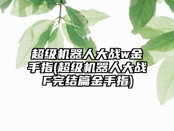 超级机器人大战w金手指(超级机器人大战F完结篇金手指)