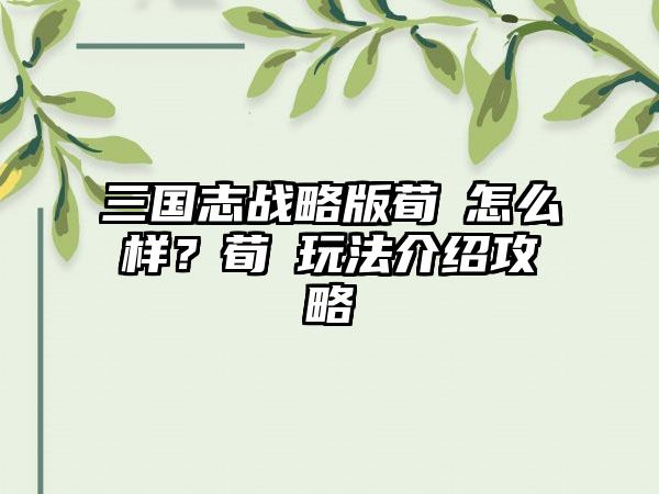 三国志战略版荀彧怎么样？荀彧玩法介绍攻略