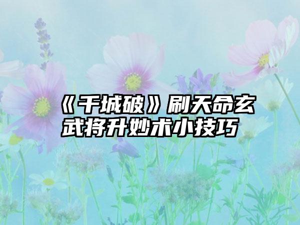 《千城破》刷天命玄武将升妙术小技巧