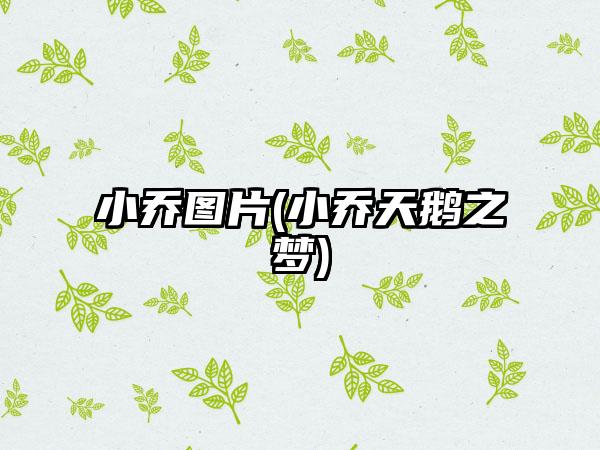 小乔图片(小乔天鹅之梦)