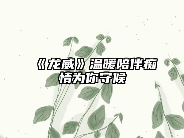 《龙威》温暖陪伴痴情为你守候