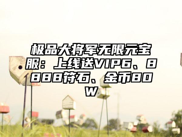 极品大将军无限元宝服：上线送VIP6、8888符石、金币80W
