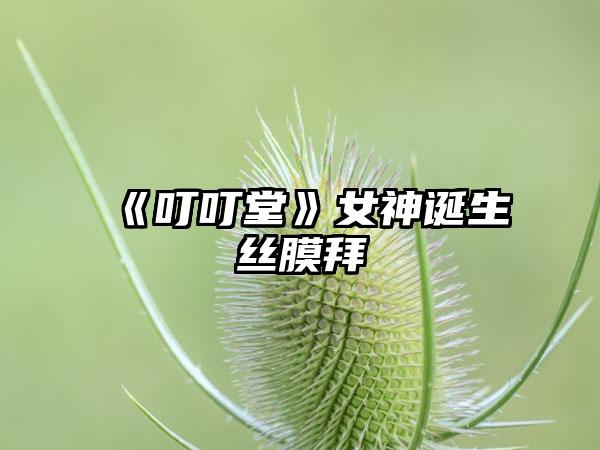 《叮叮堂》女神诞生屌丝膜拜