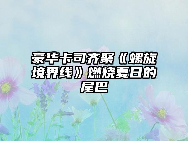 豪华卡司齐聚《螺旋境界线》燃烧夏日的尾巴