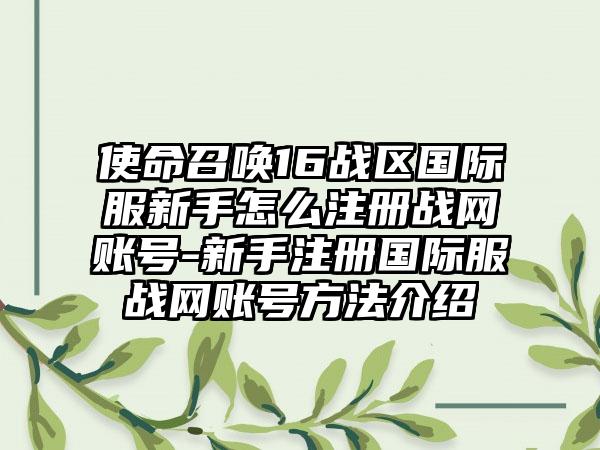 使命召唤16战区国际服新手怎么注册战网账号-新手注册国际服战网账号方法介绍