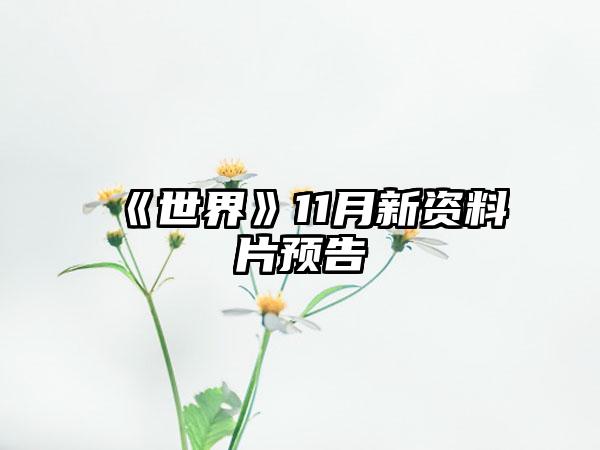 《世界》11月新资料片预告