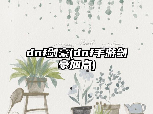 dnf剑豪(dnf手游剑豪加点)