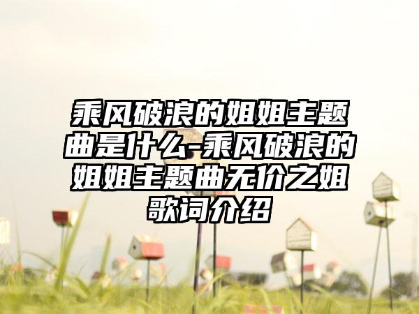 乘风破浪的姐姐主题曲是什么-乘风破浪的姐姐主题曲无价之姐歌词介绍