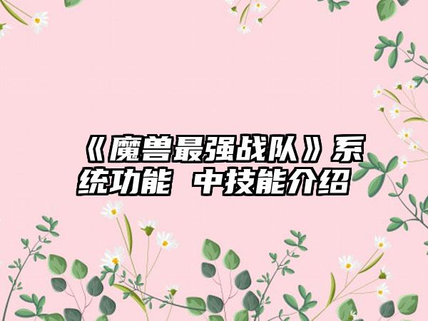 《魔兽最强战队》系统功能 中技能介绍