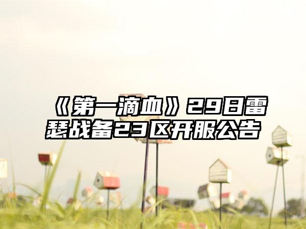《第一滴血》29日雷瑟战备23区开服公告