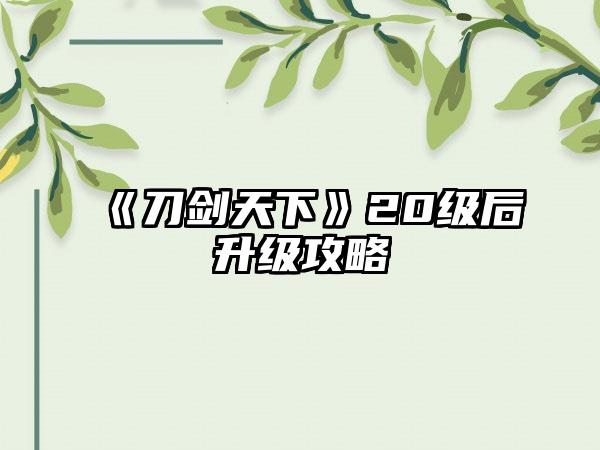 《刀剑天下》20级后升级攻略