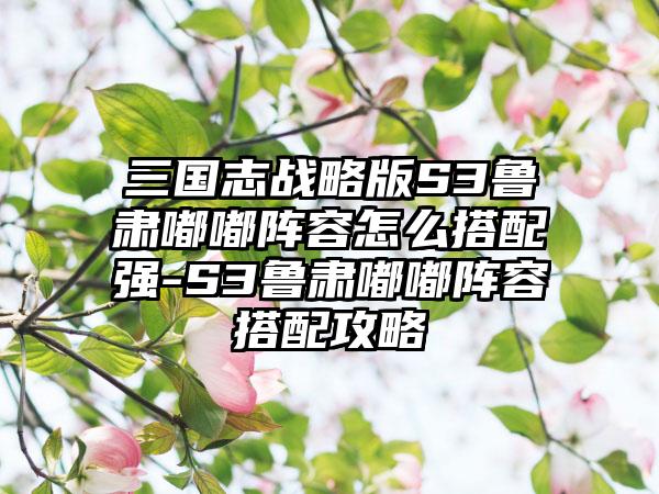 三国志战略版S3鲁肃嘟嘟阵容怎么搭配强-S3鲁肃嘟嘟阵容搭配攻略