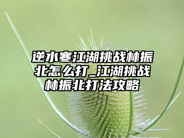 逆水寒江湖挑战林振北怎么打_江湖挑战林振北打法攻略
