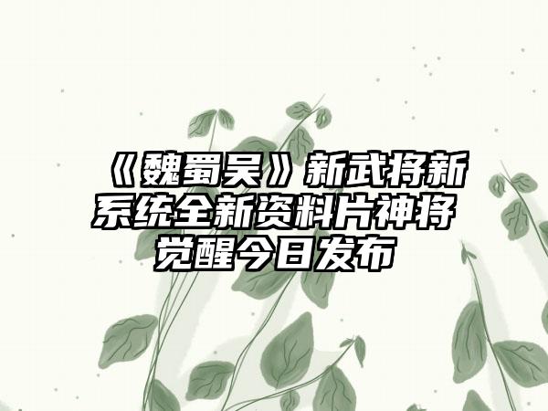 《魏蜀吴》新武将新系统全新资料片神将觉醒今日发布
