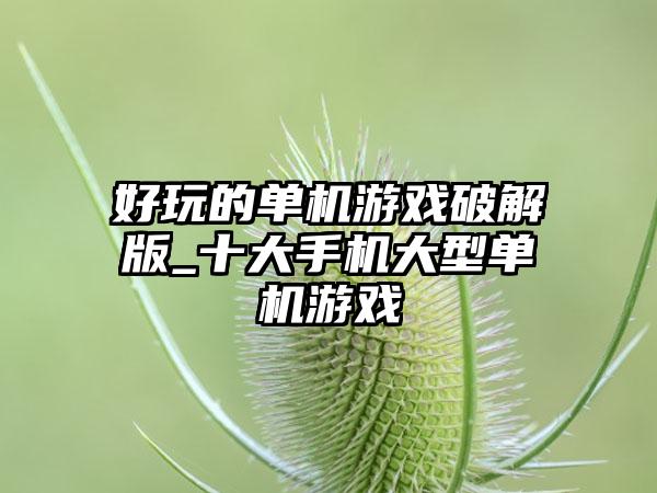 好玩的单机游戏破解版_十大手机大型单机游戏