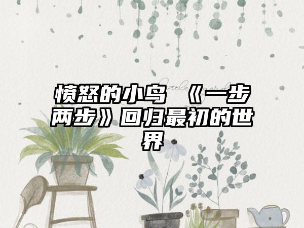愤怒的小鸟 《一步两步》回归最初的世界