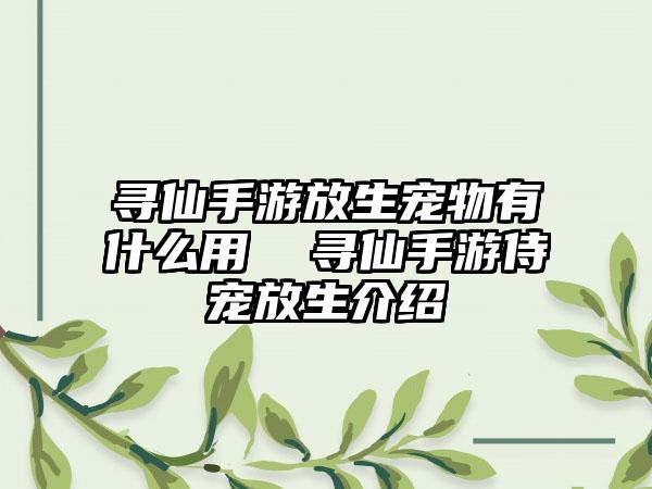 寻仙手游放生宠物有什么用  寻仙手游侍宠放生介绍
