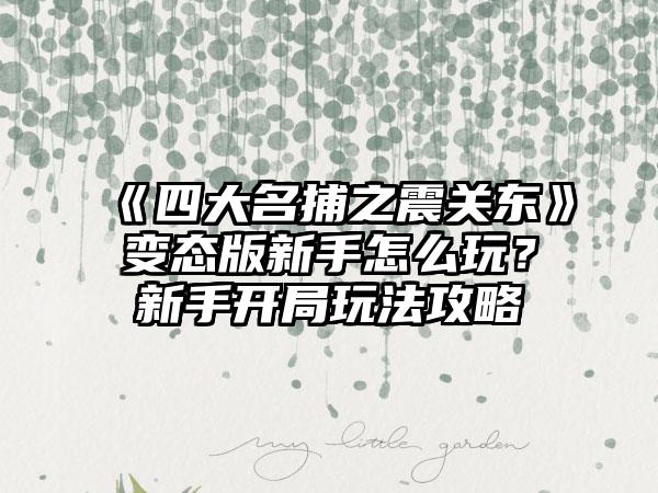 《四大名捕之震关东》变态版新手怎么玩？新手开局玩法攻略