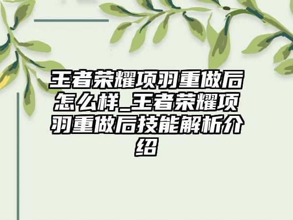 王者荣耀项羽重做后怎么样_王者荣耀项羽重做后技能解析介绍