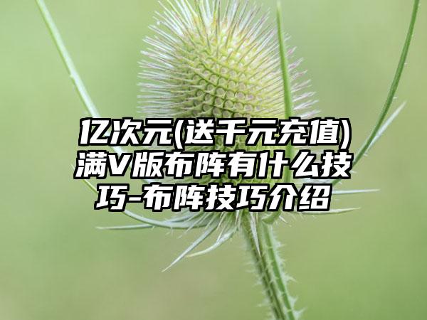 亿次元(送千元充值)满V版布阵有什么技巧-布阵技巧介绍