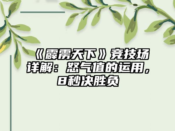 《霹雳天下》竞技场详解：怒气值的运用，8秒决胜负