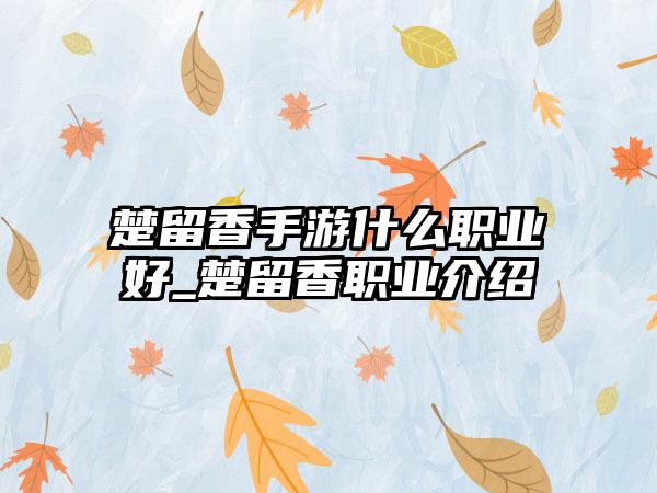楚留香手游什么职业好_楚留香职业介绍