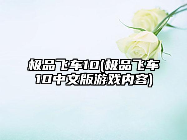极品飞车10(极品飞车10中文版游戏内容)
