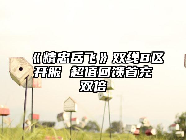《精忠岳飞》双线8区开服 超值回馈首充双倍