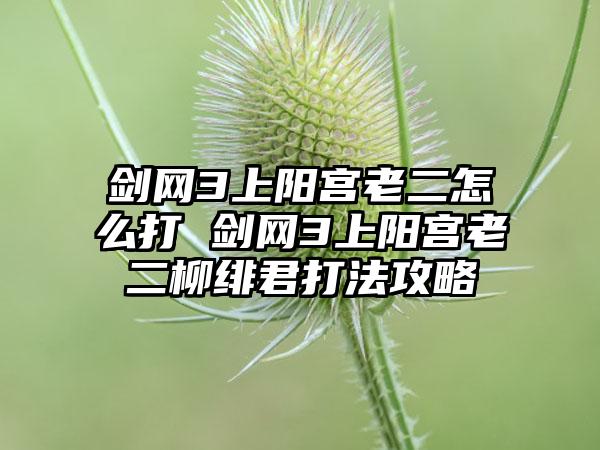 剑网3上阳宫老二怎么打 剑网3上阳宫老二柳绯君打法攻略
