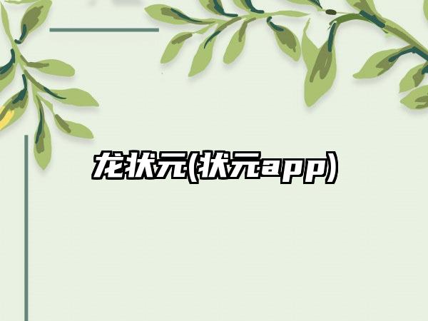 龙状元(状元app)