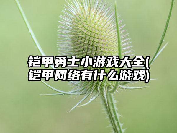 铠甲勇士小游戏大全(铠甲网络有什么游戏)