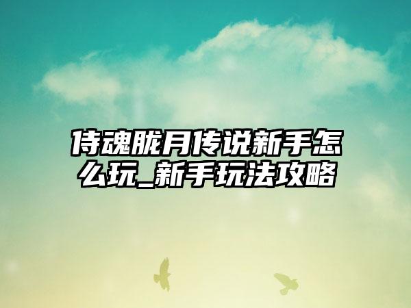 侍魂胧月传说新手怎么玩_新手玩法攻略