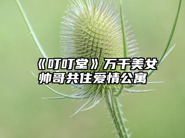 《叮叮堂》万千美女帅哥共住爱情公寓