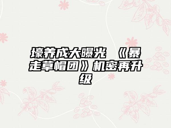 壕养成大曝光 《暴走草帽团》机密再升级