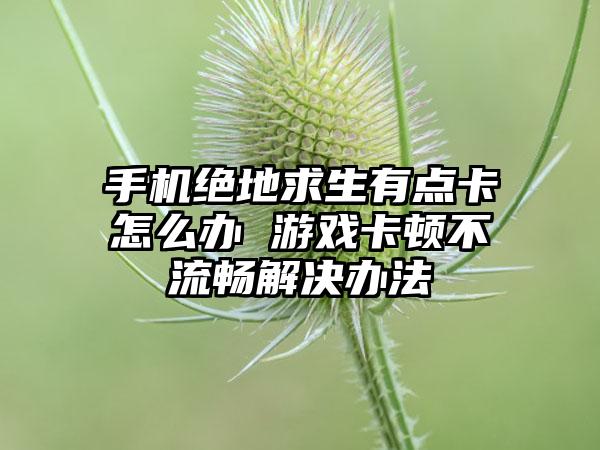 手机绝地求生有点卡怎么办 游戏卡顿不流畅解决办法