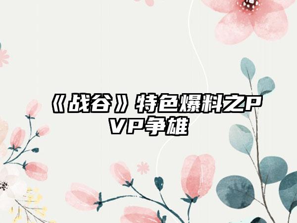 《战谷》特色爆料之PVP争雄