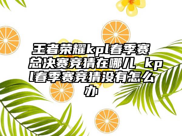 王者荣耀kpl春季赛总决赛竞猜在哪儿 kpl春季赛竞猜没有怎么办
