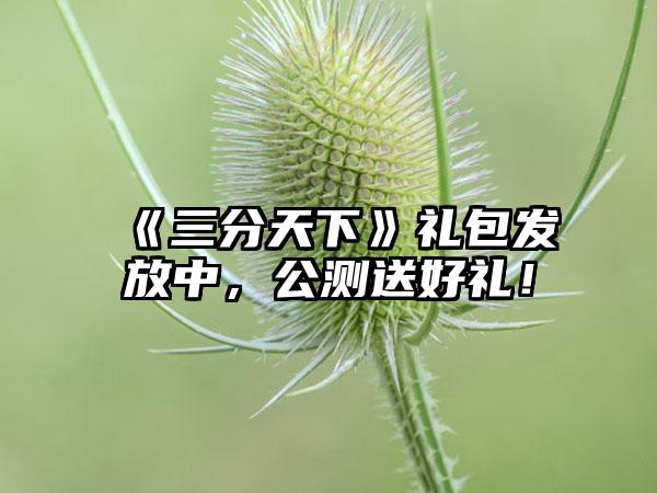 《三分天下》礼包发放中,公测送好礼!