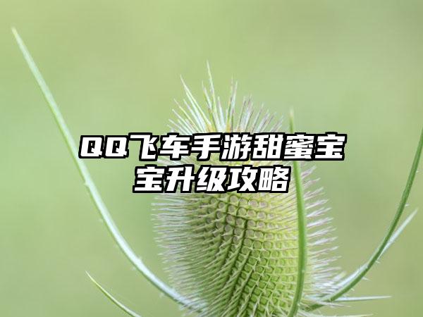 QQ飞车手游甜蜜宝宝升级攻略