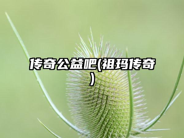 传奇公益吧(祖玛传奇)