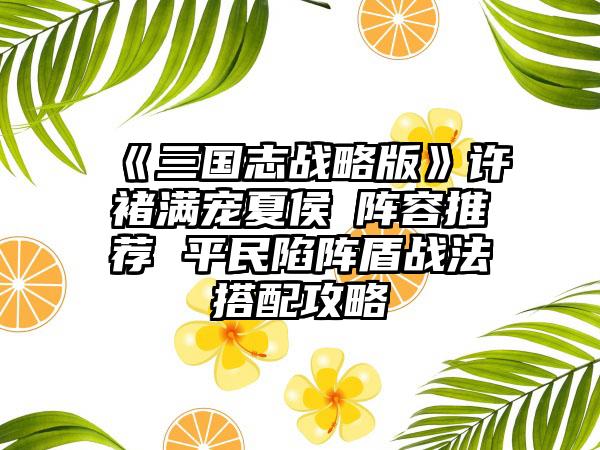 《三国志战略版》许褚满宠夏侯惇阵容推荐 平民陷阵盾战法搭配攻略