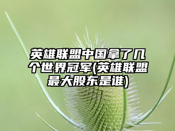 英雄联盟中国拿了几个世界冠军(英雄联盟最大股东是谁)
