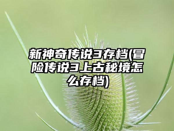 新神奇传说3存档(冒险传说3上古秘境怎么存档)