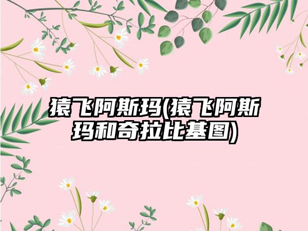 猿飞阿斯玛(猿飞阿斯玛和奇拉比基图)