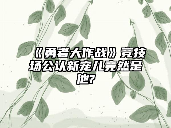 《勇者大作战》竞技场公认新宠儿竟然是他?