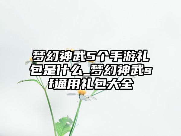 梦幻神武5个手游礼包是什么_梦幻神武sf通用礼包大全