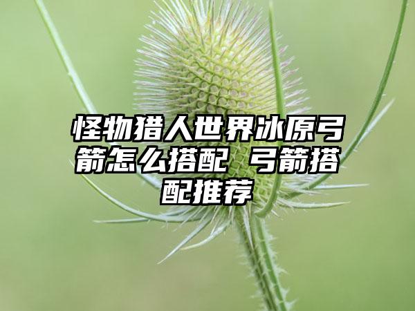 怪物猎人世界冰原弓箭怎么搭配 弓箭搭配推荐