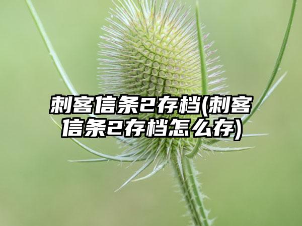 刺客信条2存档(刺客信条2存档怎么存)